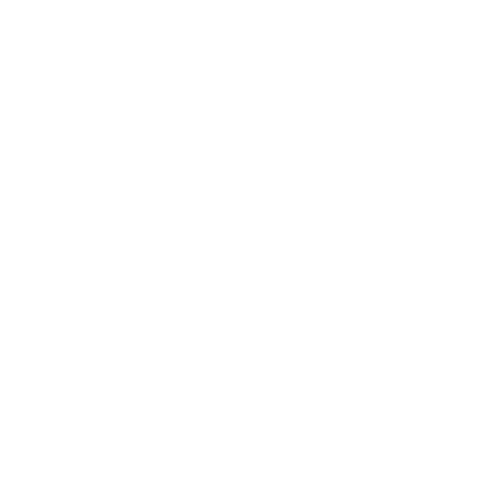 Magento, Wordpress, Pimcore